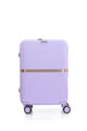 MINTER SPINNER 55/20  hi-res | Samsonite