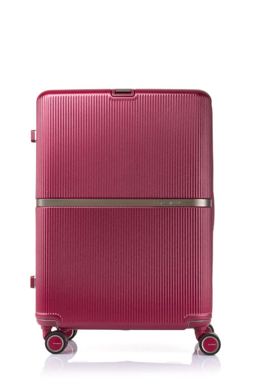 MINTER 行李箱 69厘米/25吋 (可擴充)  hi-res | Samsonite